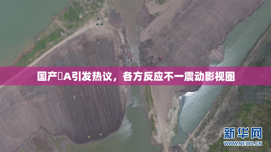 国产婬A引发热议，各方反应不一震动影视圈