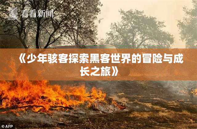 《少年骇客探索黑客世界的冒险与成长之旅》