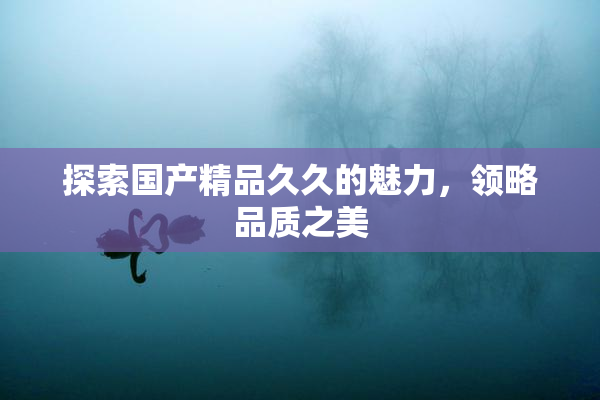 探索国产精品久久的魅力，领略品质之美