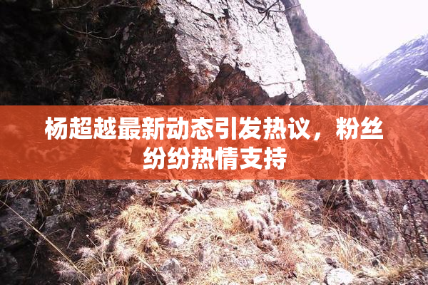 杨超越最新动态引发热议，粉丝纷纷热情支持