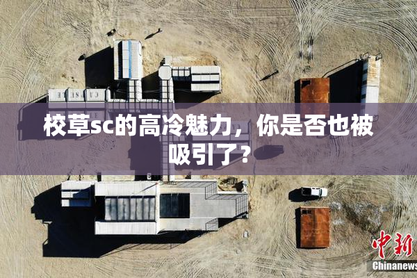 校草sc的高冷魅力，你是否也被吸引了？