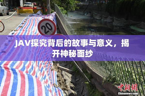JAV探究背后的故事与意义，揭开神秘面纱