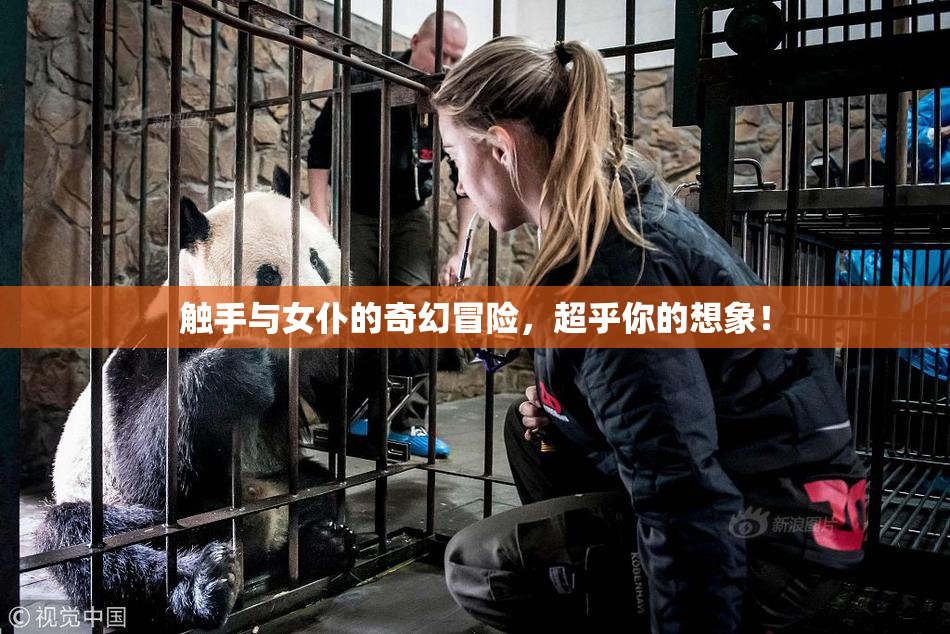 触手与女仆的奇幻冒险，超乎你的想象！