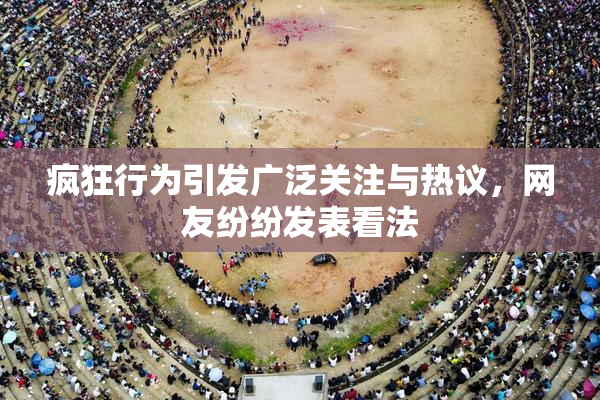 疯狂行为引发广泛关注与热议，网友纷纷发表看法