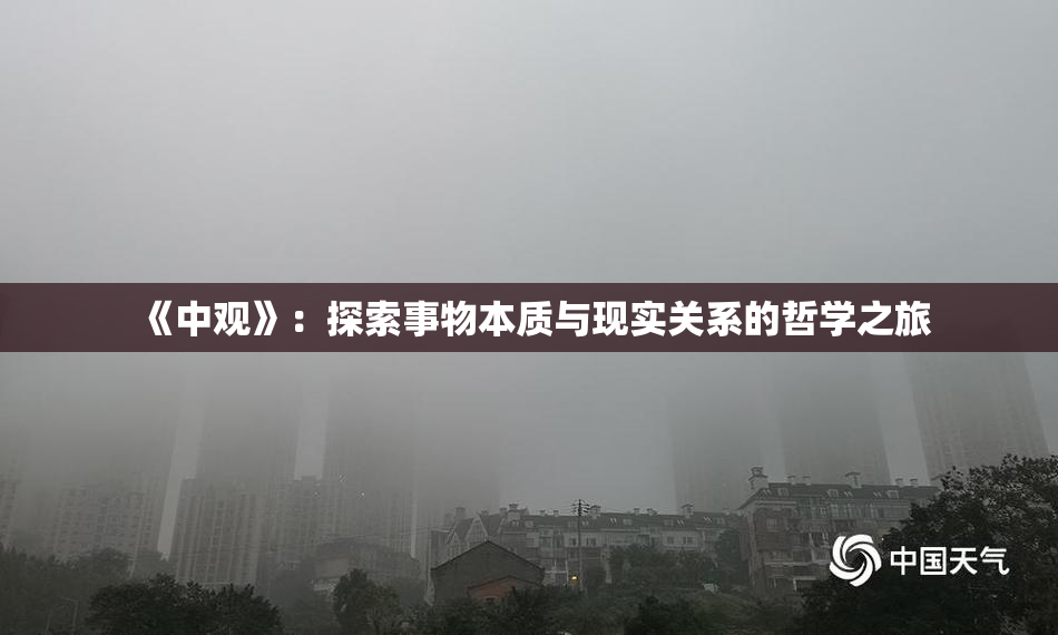 《中观》：探索事物本质与现实关系的哲学之旅