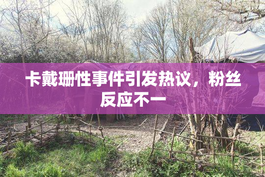 卡戴珊性事件引发热议，粉丝反应不一