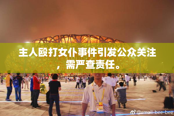 主人殴打女仆事件引发公众关注，需严查责任。