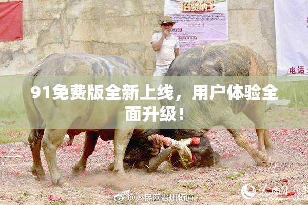 91免费版全新上线，用户体验全面升级！