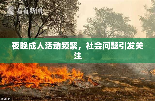 夜晚成人活动频繁，社会问题引发关注