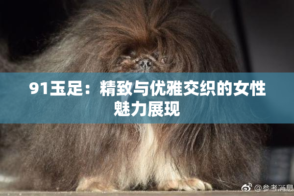 91玉足：精致与优雅交织的女性魅力展现