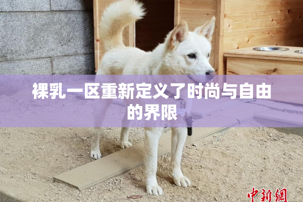 裸乳一区重新定义了时尚与自由的界限