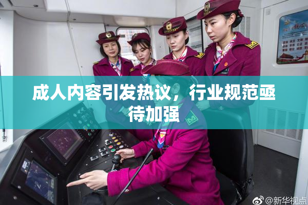 成人内容引发热议，行业规范亟待加强