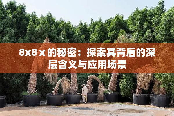 8x8ⅹ的秘密：探索其背后的深层含义与应用场景