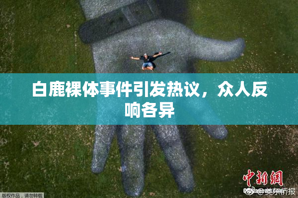 白鹿裸体事件引发热议，众人反响各异