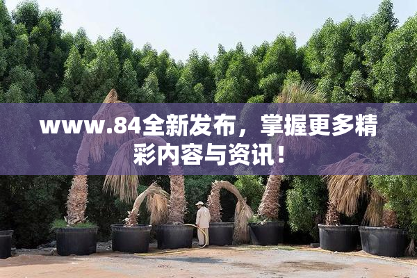 www.84全新发布，掌握更多精彩内容与资讯！