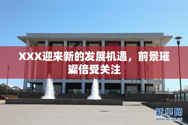 XXX迎来新的发展机遇，前景璀璨倍受关注