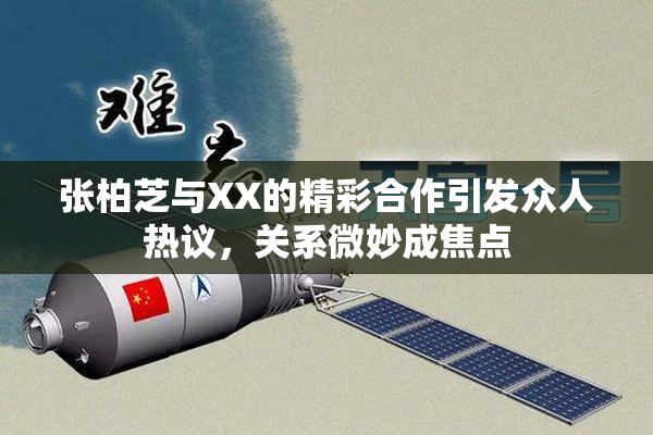 张柏芝与XX的精彩合作引发众人热议，关系微妙成焦点
