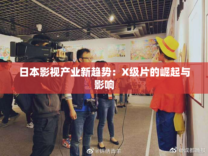 日本影视产业新趋势：X级片的崛起与影响