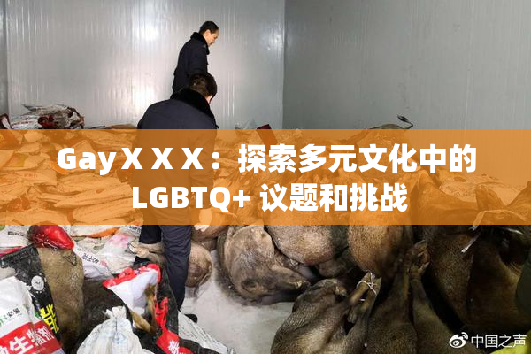 GayⅩⅩⅩ：探索多元文化中的 LGBTQ+ 议题和挑战
