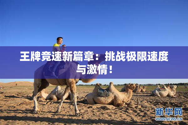 王牌竞速新篇章：挑战极限速度与激情！