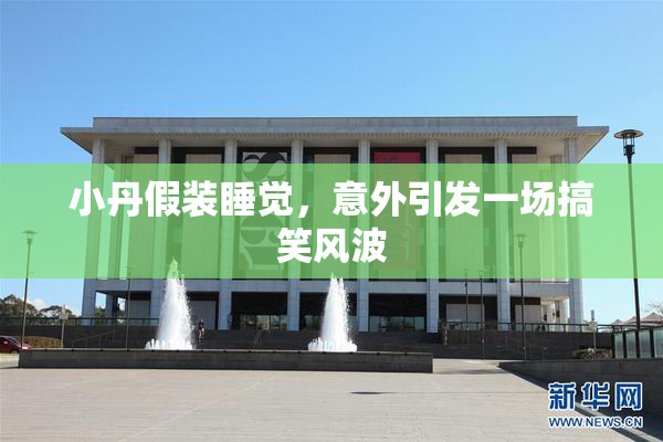 小丹假装睡觉，意外引发一场搞笑风波