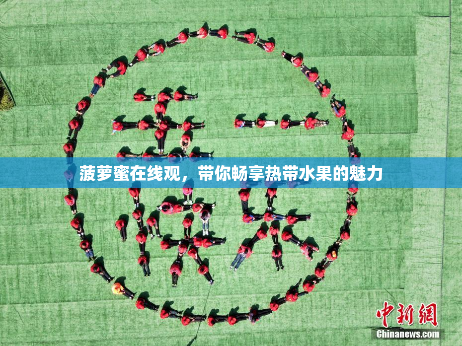 菠萝蜜在线观，带你畅享热带水果的魅力