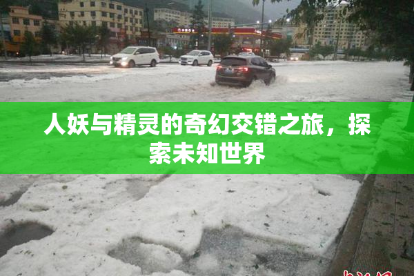 人妖与精灵的奇幻交错之旅，探索未知世界
