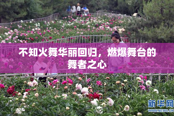 不知火舞华丽回归，燃爆舞台的舞者之心