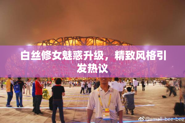 白丝修女魅惑升级，精致风格引发热议