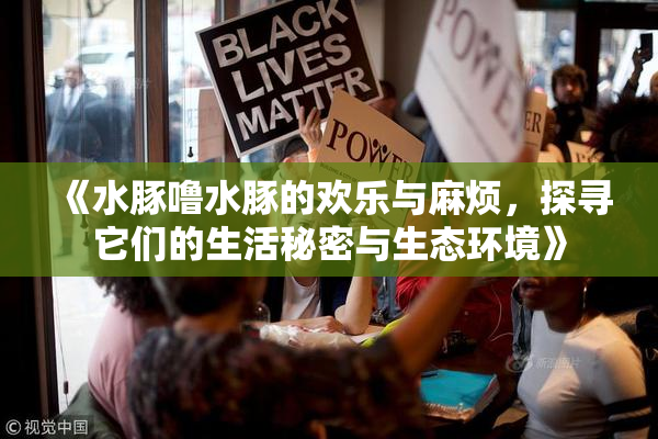《水豚噜水豚的欢乐与麻烦，探寻它们的生活秘密与生态环境》