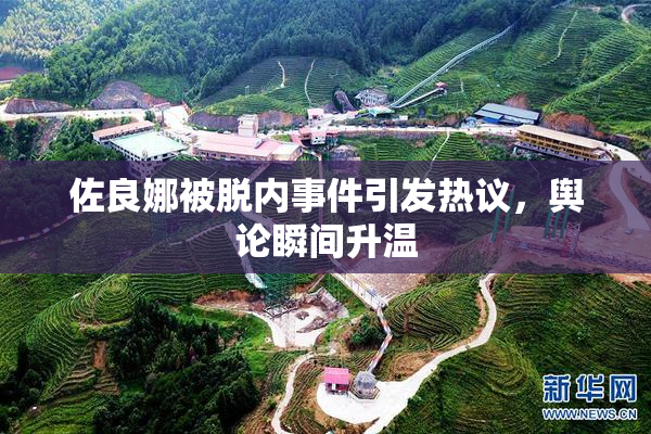 佐良娜被脱内事件引发热议，舆论瞬间升温