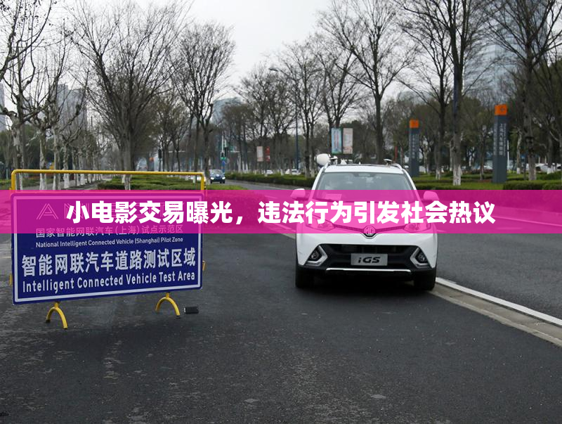 小电影交易曝光，违法行为引发社会热议