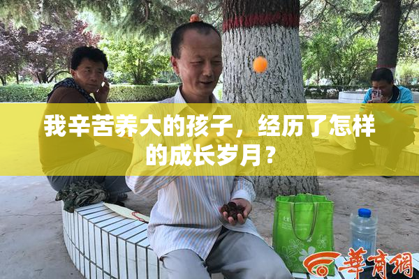 我辛苦养大的孩子，经历了怎样的成长岁月？