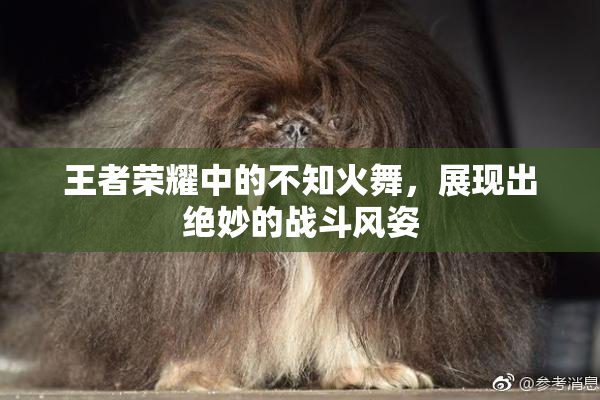 王者荣耀中的不知火舞，展现出绝妙的战斗风姿