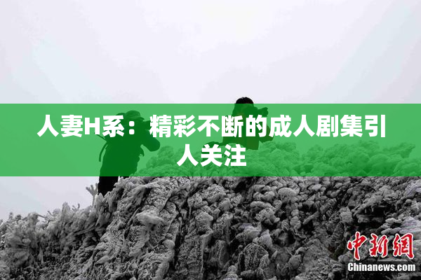 人妻H系：精彩不断的成人剧集引人关注