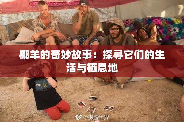 椰羊的奇妙故事：探寻它们的生活与栖息地