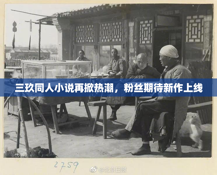 三玖同人小说再掀热潮，粉丝期待新作上线
