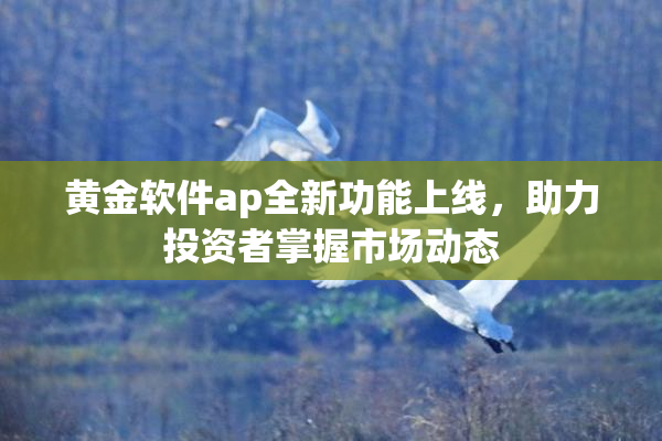 黄金软件ap全新功能上线，助力投资者掌握市场动态