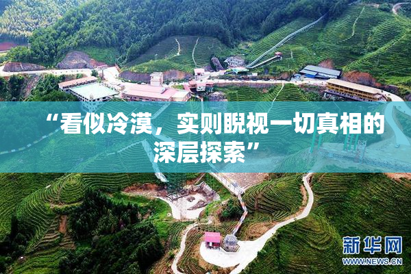 “看似冷漠，实则睨视一切真相的深层探索”
