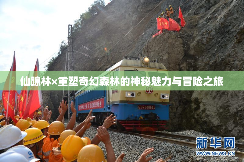 仙踪林×重塑奇幻森林的神秘魅力与冒险之旅