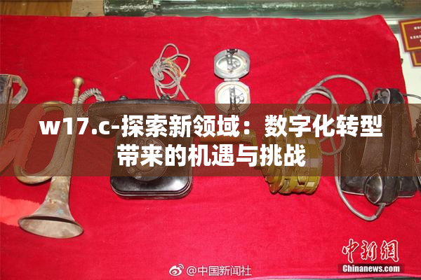 w17.c-探索新领域：数字化转型带来的机遇与挑战