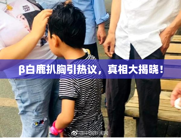 β白鹿扒胸引热议，真相大揭晓！