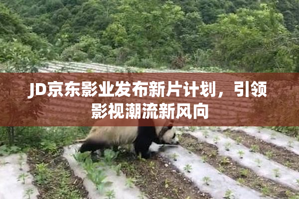 JD京东影业发布新片计划，引领影视潮流新风向