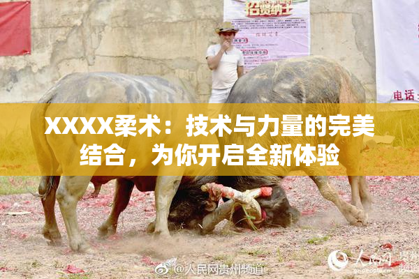 XXXX柔术：技术与力量的完美结合，为你开启全新体验