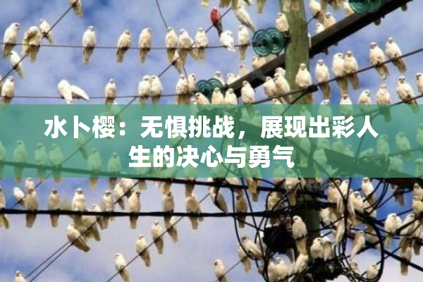 水卜樱：无惧挑战，展现出彩人生的决心与勇气