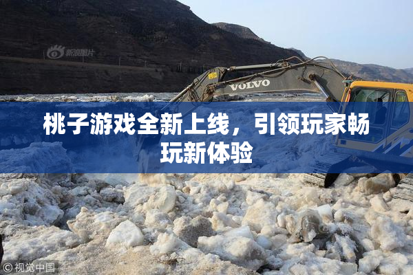 桃子游戏全新上线，引领玩家畅玩新体验