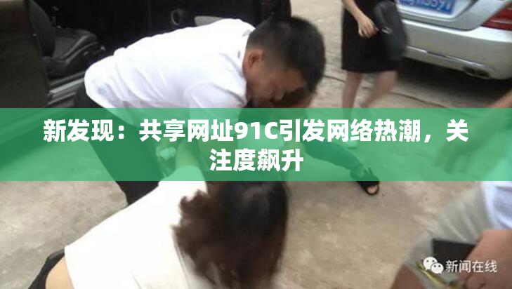 新发现：共享网址91C引发网络热潮，关注度飙升