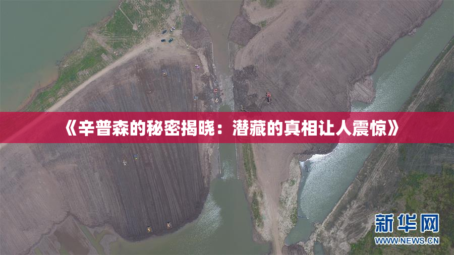 《辛普森的秘密揭晓：潜藏的真相让人震惊》