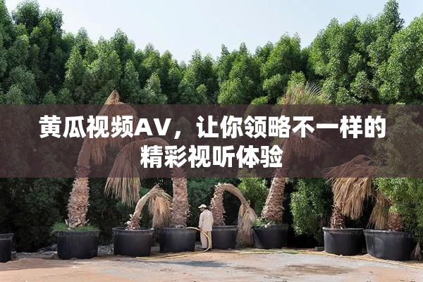黄瓜视频AV，让你领略不一样的精彩视听体验