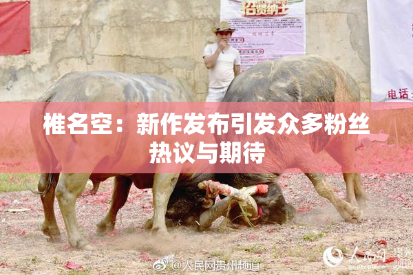 椎名空：新作发布引发众多粉丝热议与期待